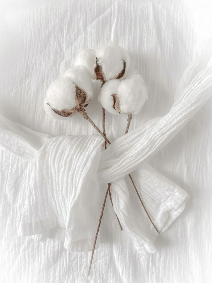 Từ Cây Bông Đến Tủ Đồ: Câu Chuyện Của Vải Cotton